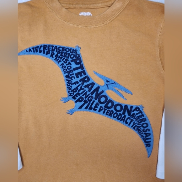 Gymboree Boys Long Sleeve Top Size 3 - Picture 2 of 4